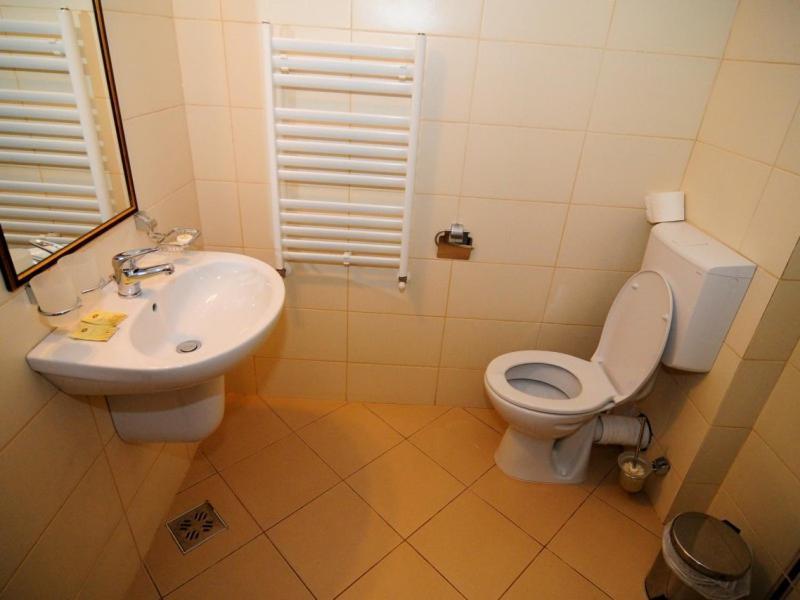 Hotel Termal Geoagiu Băi エクステリア 写真