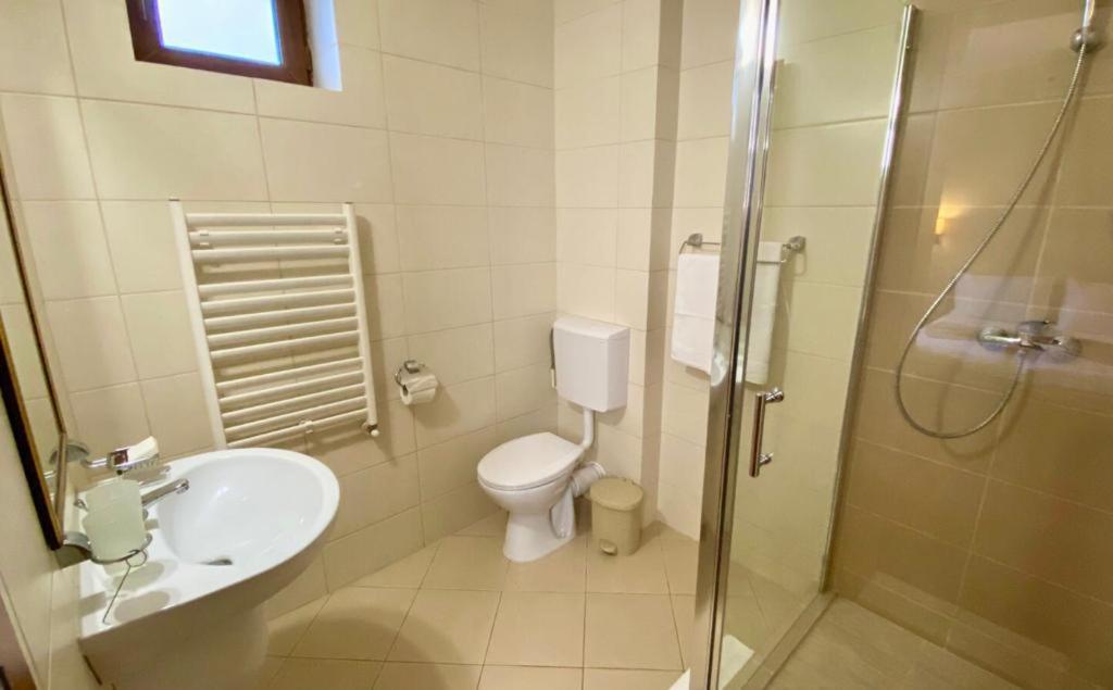 Hotel Termal Geoagiu Băi エクステリア 写真