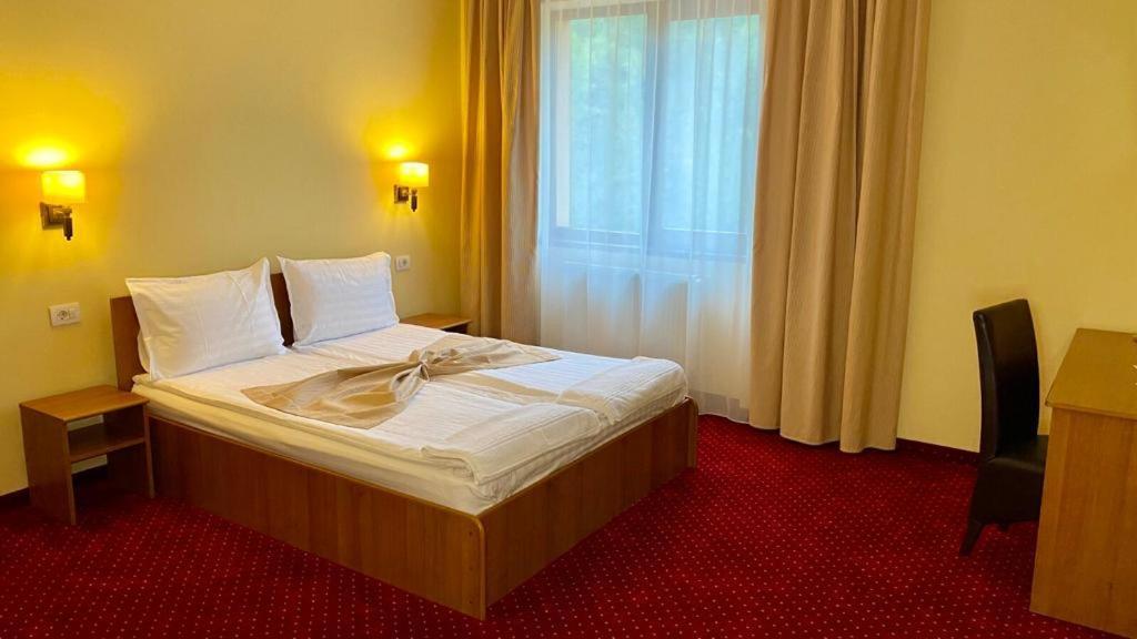 Hotel Termal Geoagiu Băi エクステリア 写真