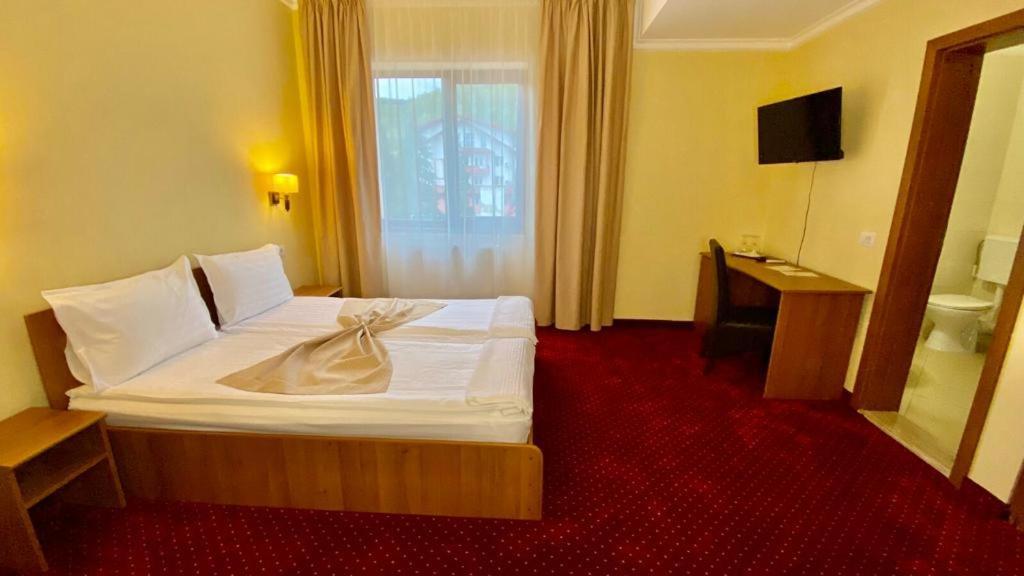Hotel Termal Geoagiu Băi エクステリア 写真