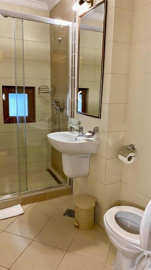 Hotel Termal Geoagiu Băi エクステリア 写真