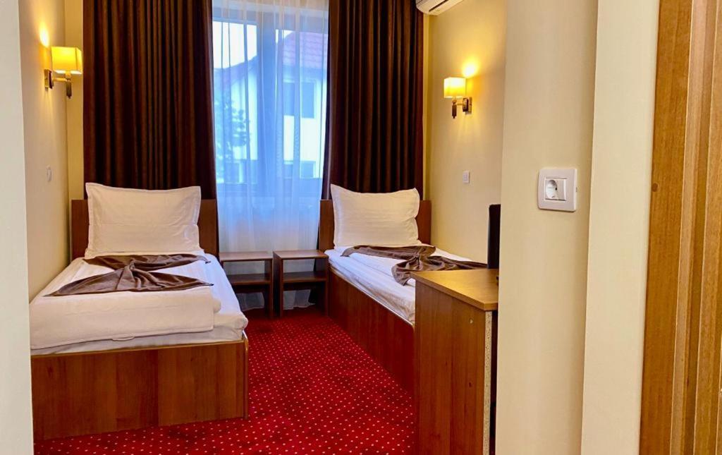 Hotel Termal Geoagiu Băi エクステリア 写真